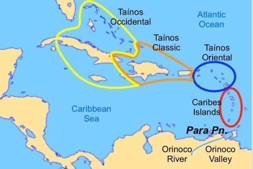 Sabias que los Tainos que encontró Colón eran los conquistadores anteriores del Caribe